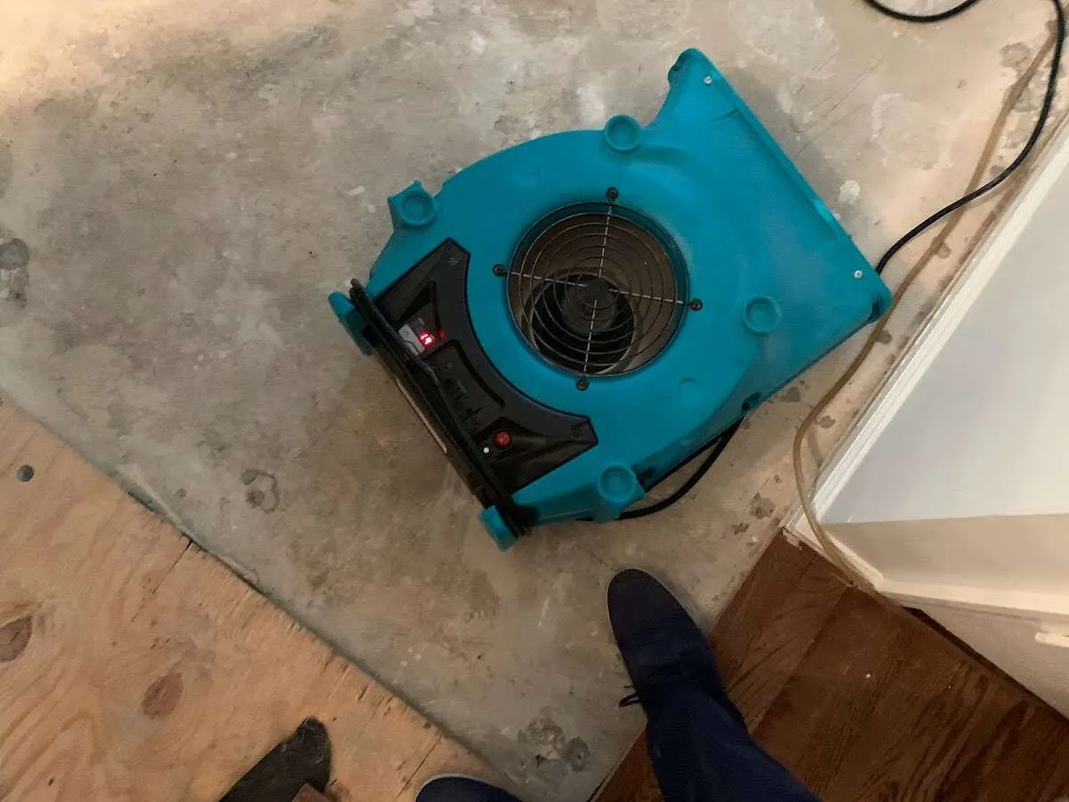 Air mover drying subfloor during Leak Detection & Repair in Castroville